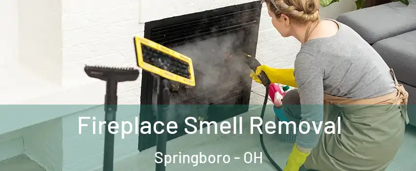  Fireplace Smell Removal Springboro - OH